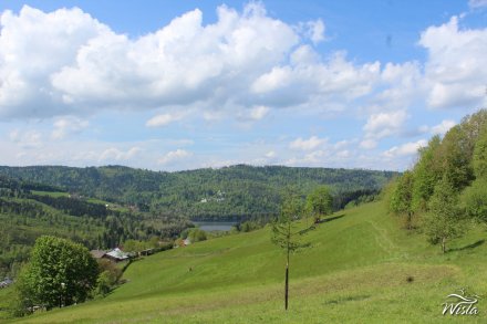 Widok z Cieńkowa
